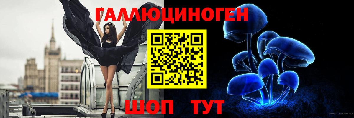 Кохма  Псилоцибиновые грибы Psilocybe  Вход с VPN  Псилоцибиновые грибы Psilocybe 